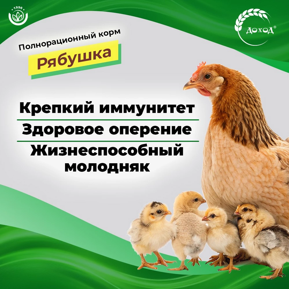 Рябушка-полнорационная5