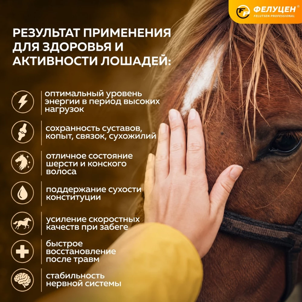 фелуц для жеребят лэ-2-05