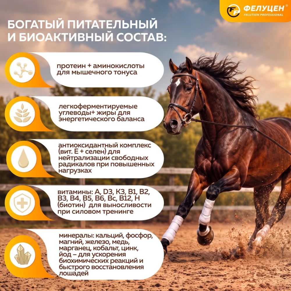 лэ-2фелуц для жеребят-03