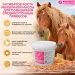 откорм лошадей, добавки для лошадей