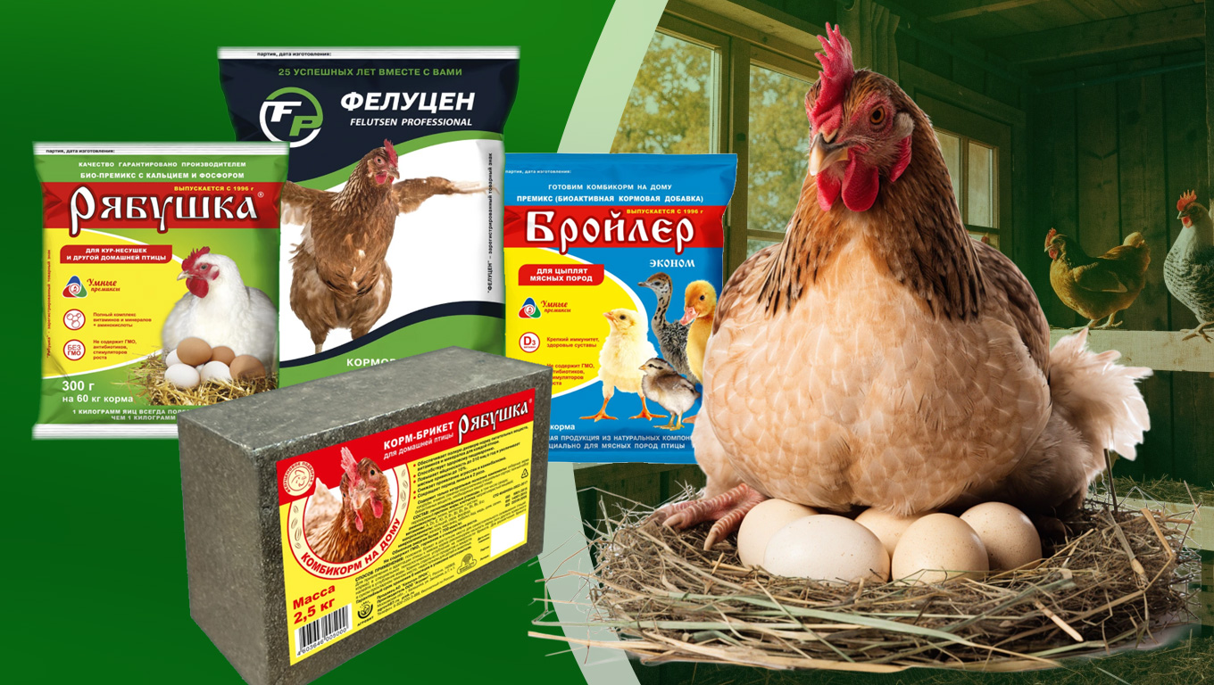 Готовь премиксы летом. Кормление кур зимой